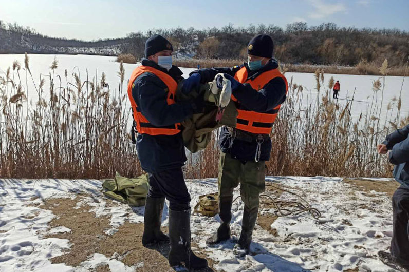 В Днепропетровской области спасли обессиленного лебедя