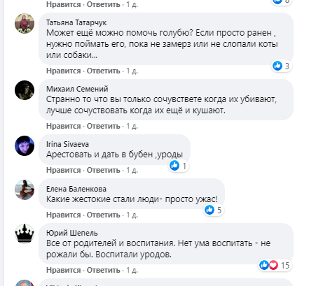 Каменчане ради забавы расстреливали голубей