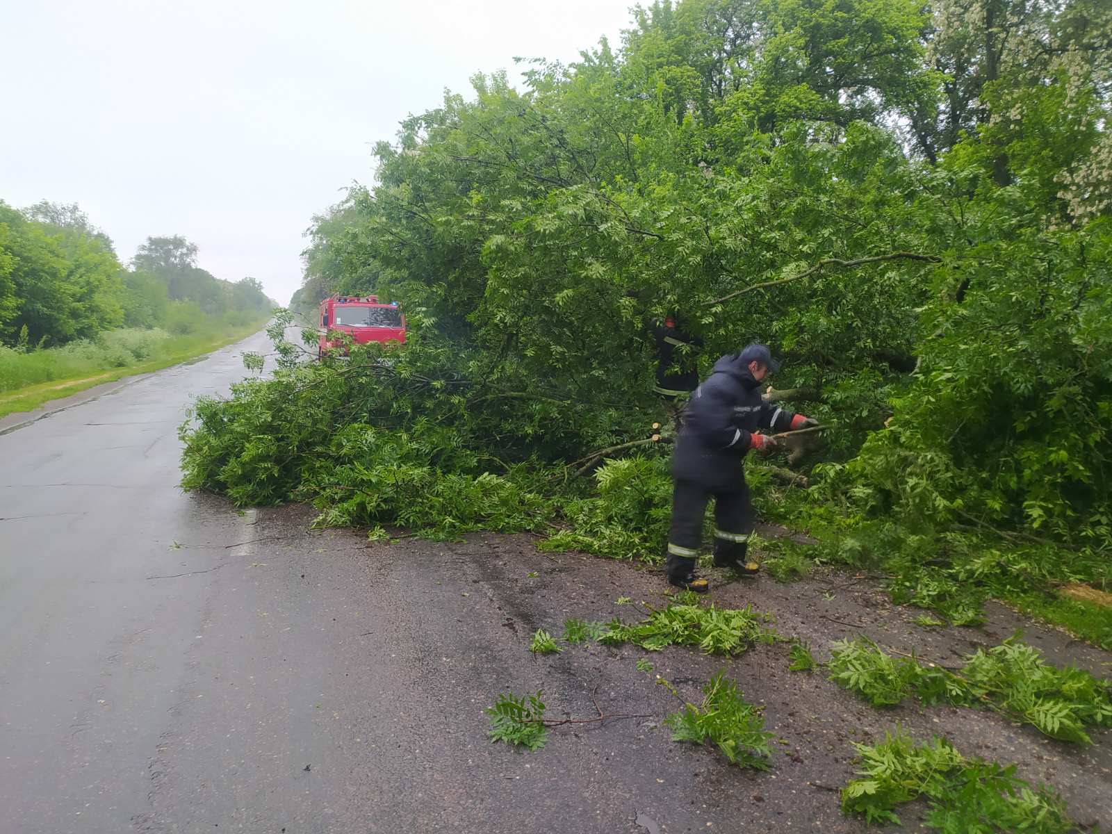 В Каменском районе поваленное дерево заблокировало движение по трассе