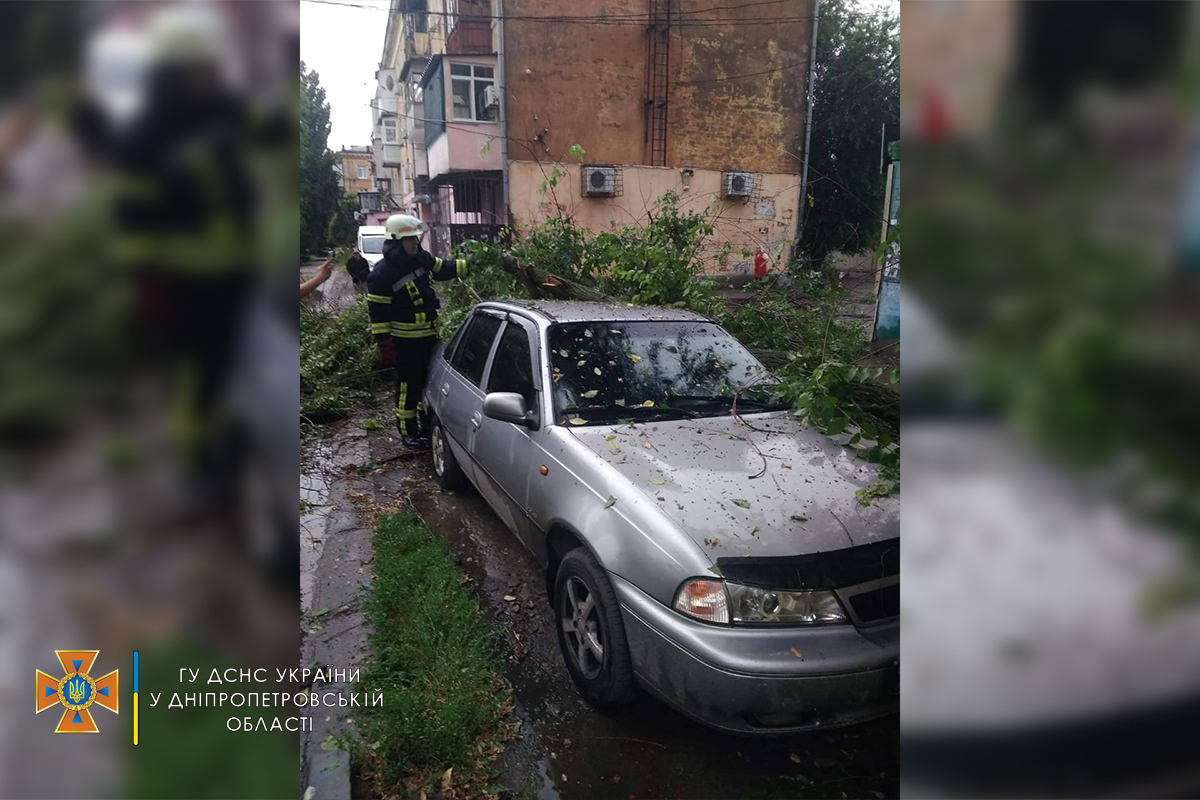 В Днепропетровской области деревья падали на автомобили и дороги