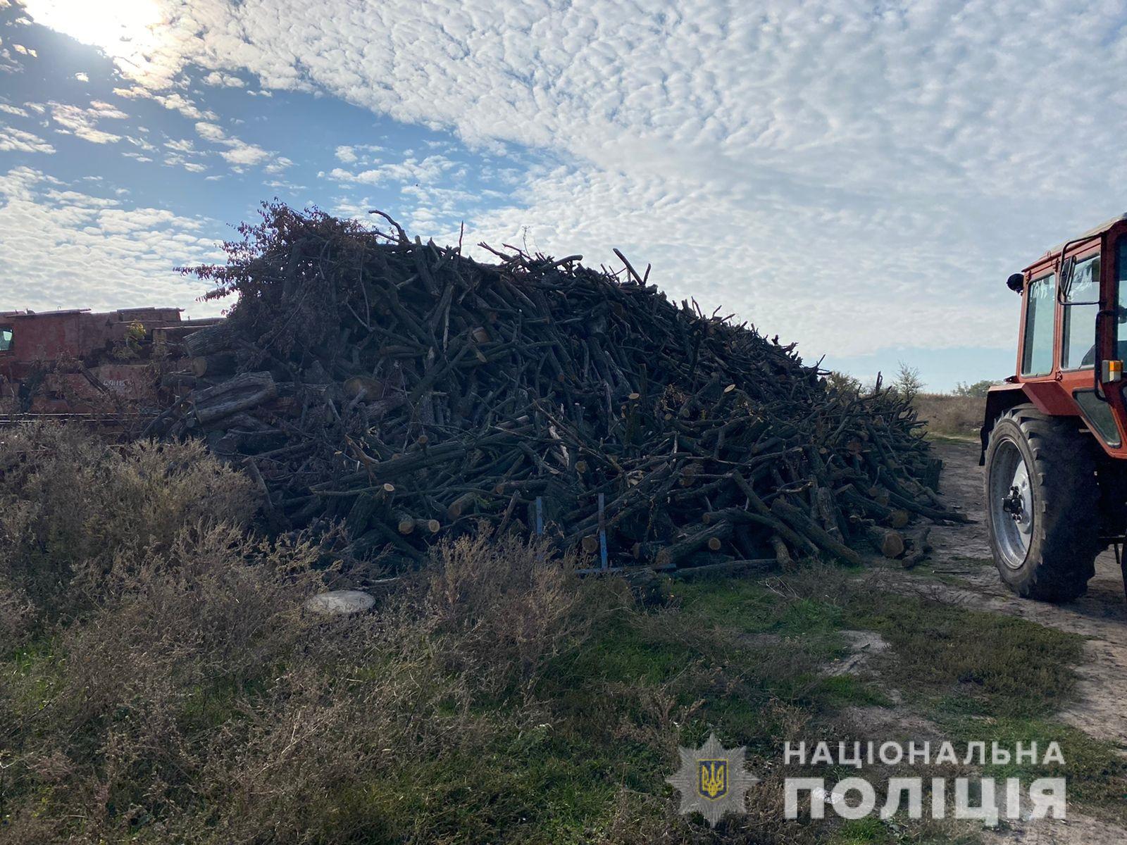 В Каменском районе обнаружили около 1200 кубов незаконно вырубленной древесины 