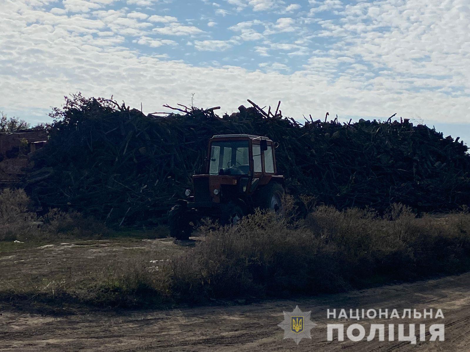 В Каменском районе обнаружили около 1200 кубов незаконно вырубленной древесины 