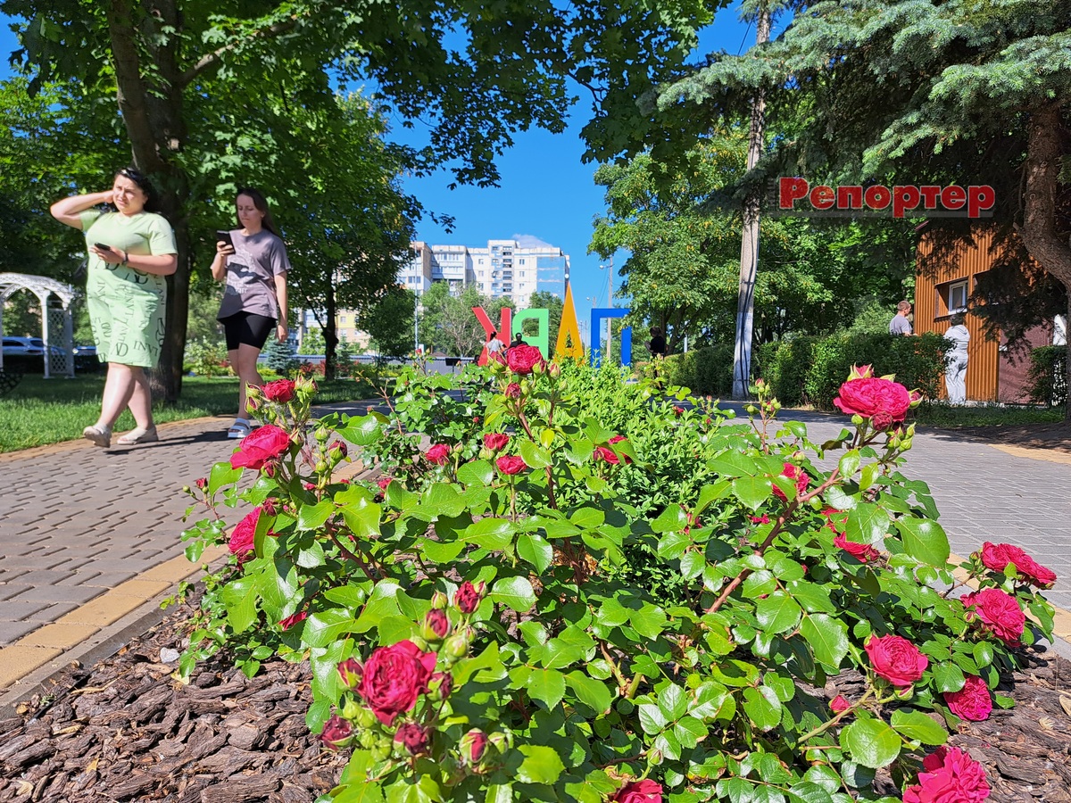 Як у Кам’янському зустріли літо (фоторепортаж)