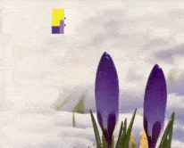 фрегат кам'янське